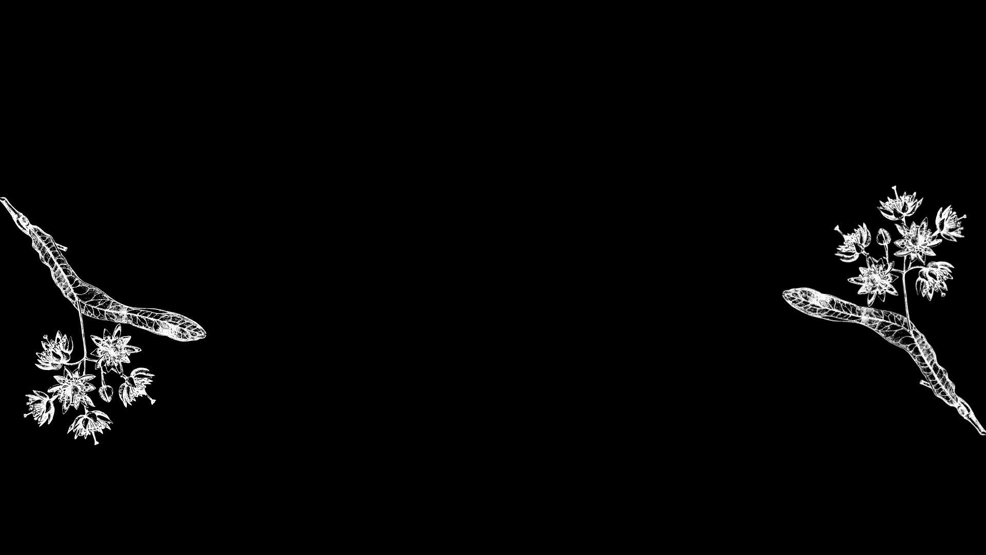 Wallpaper image
