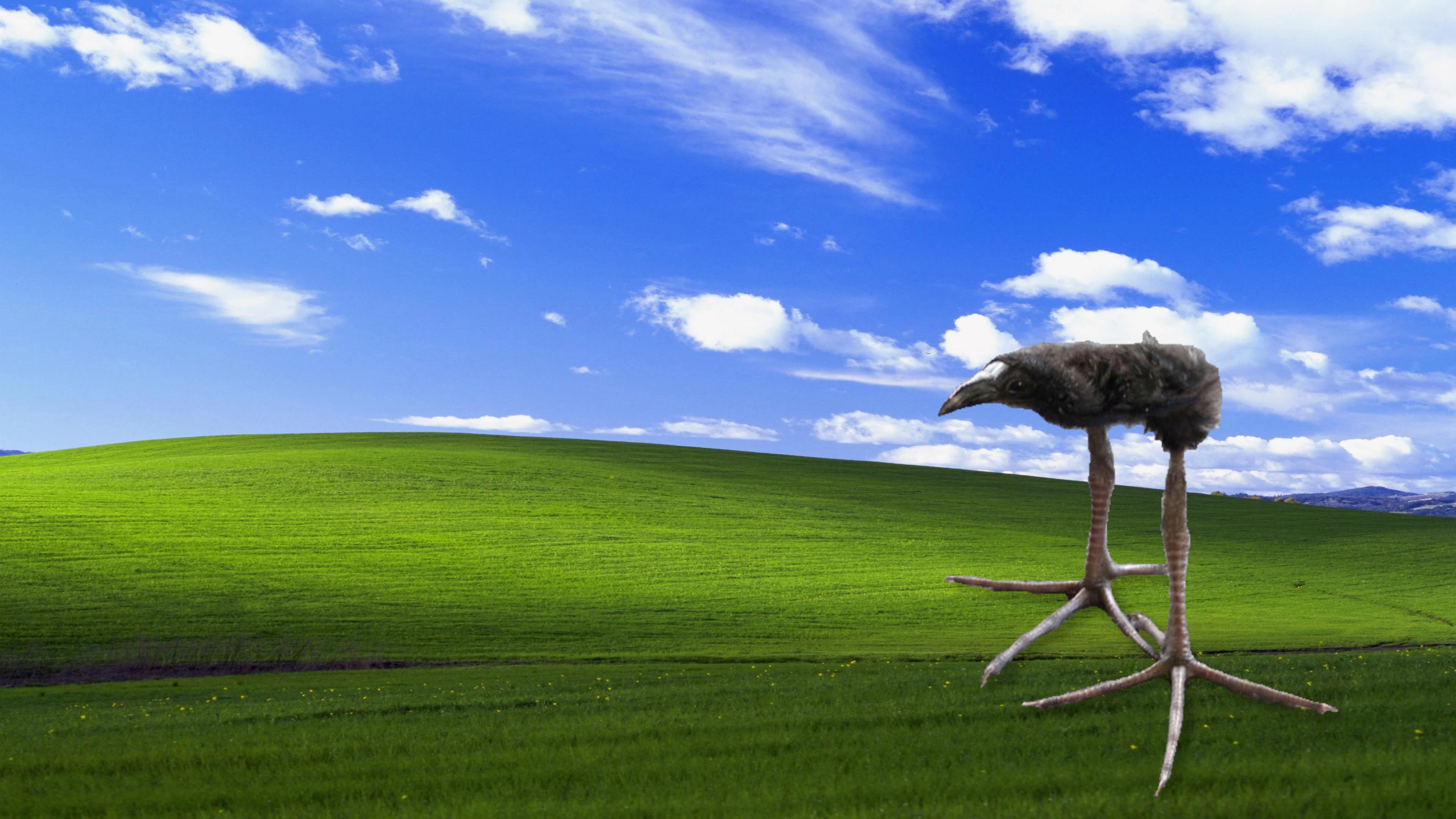 Wallpaper image