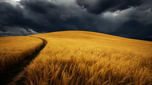 Before the Rain