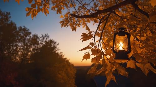 Autumn Sunset Wallpaper