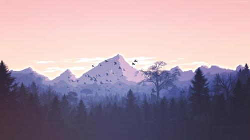 Lone guy in a thick forest