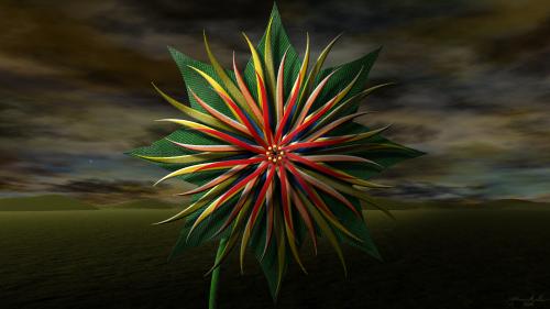 Synchronitas per Symmetriam