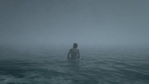 anybody got live wallpaper of this? tlou2