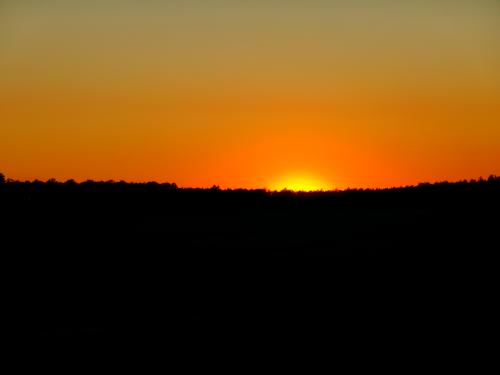 Sunset picture i took :