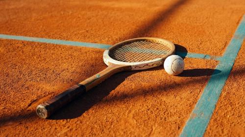 Stories of the Court