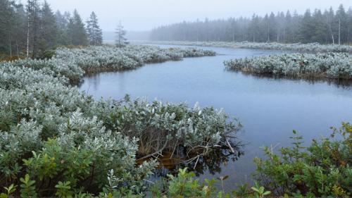 Latvian Vidzeme Lakes
