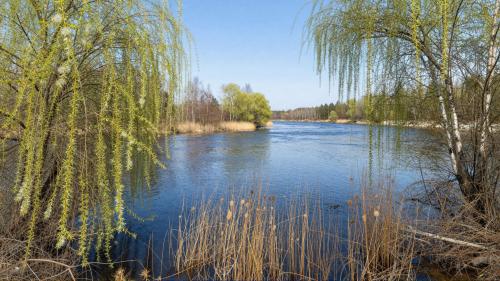 Latvian Daugava Delta