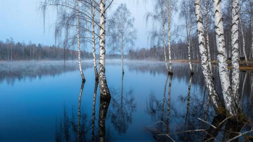 Latvian Latgale Blue Lakes