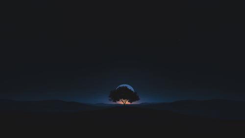 Full Moon In A Dark Night