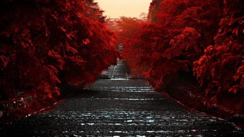 The Red Corridor