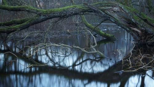 Nymosen, Vangede, Denmark