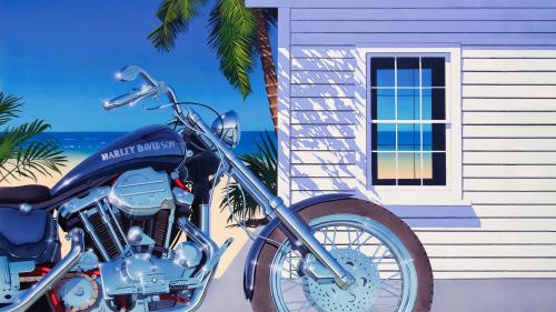 Harley on the beach by Bern Foster