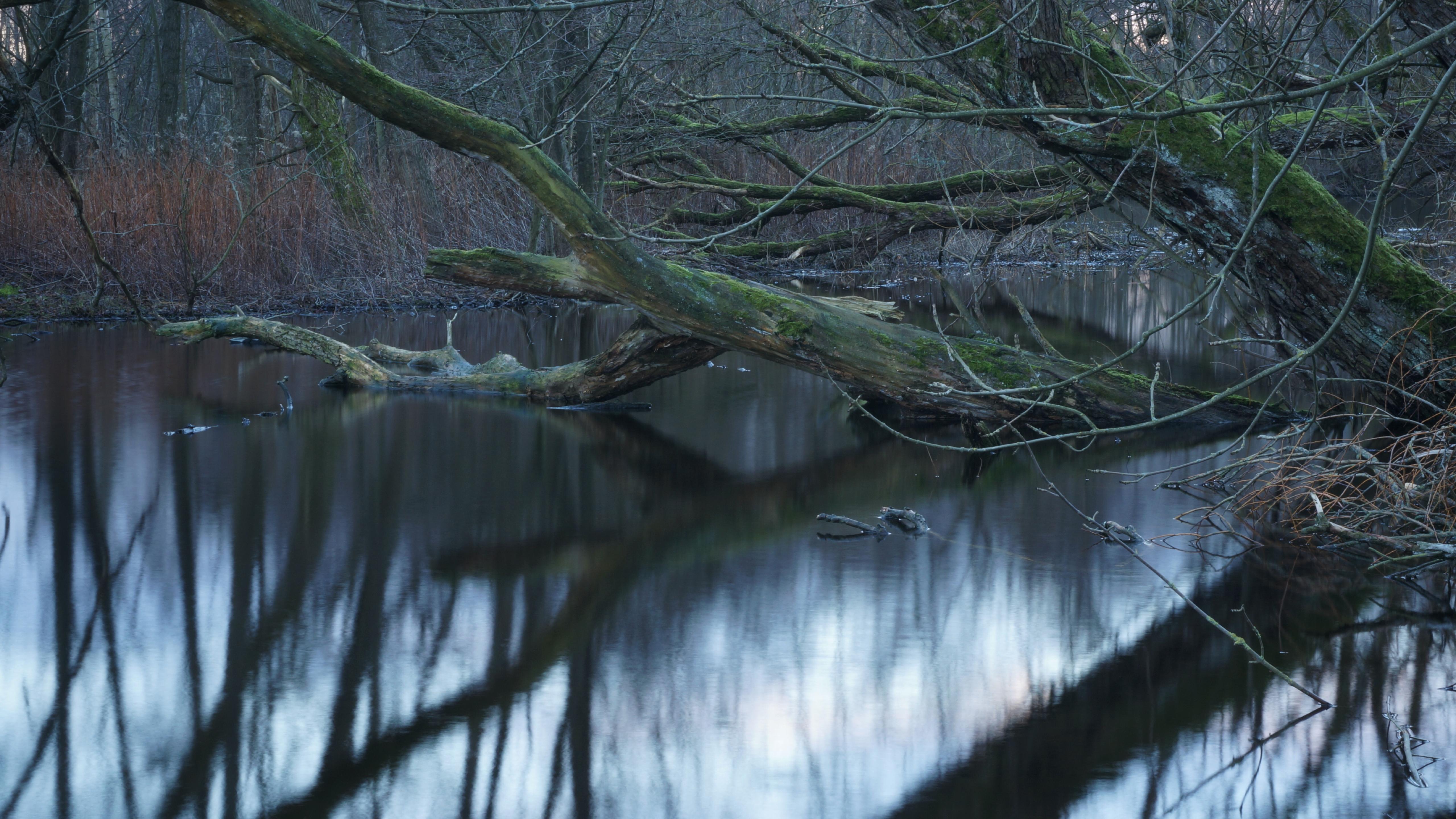 Nymosen, Vangede, Denmark