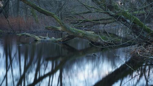 Nymosen, Vangede, Denmark