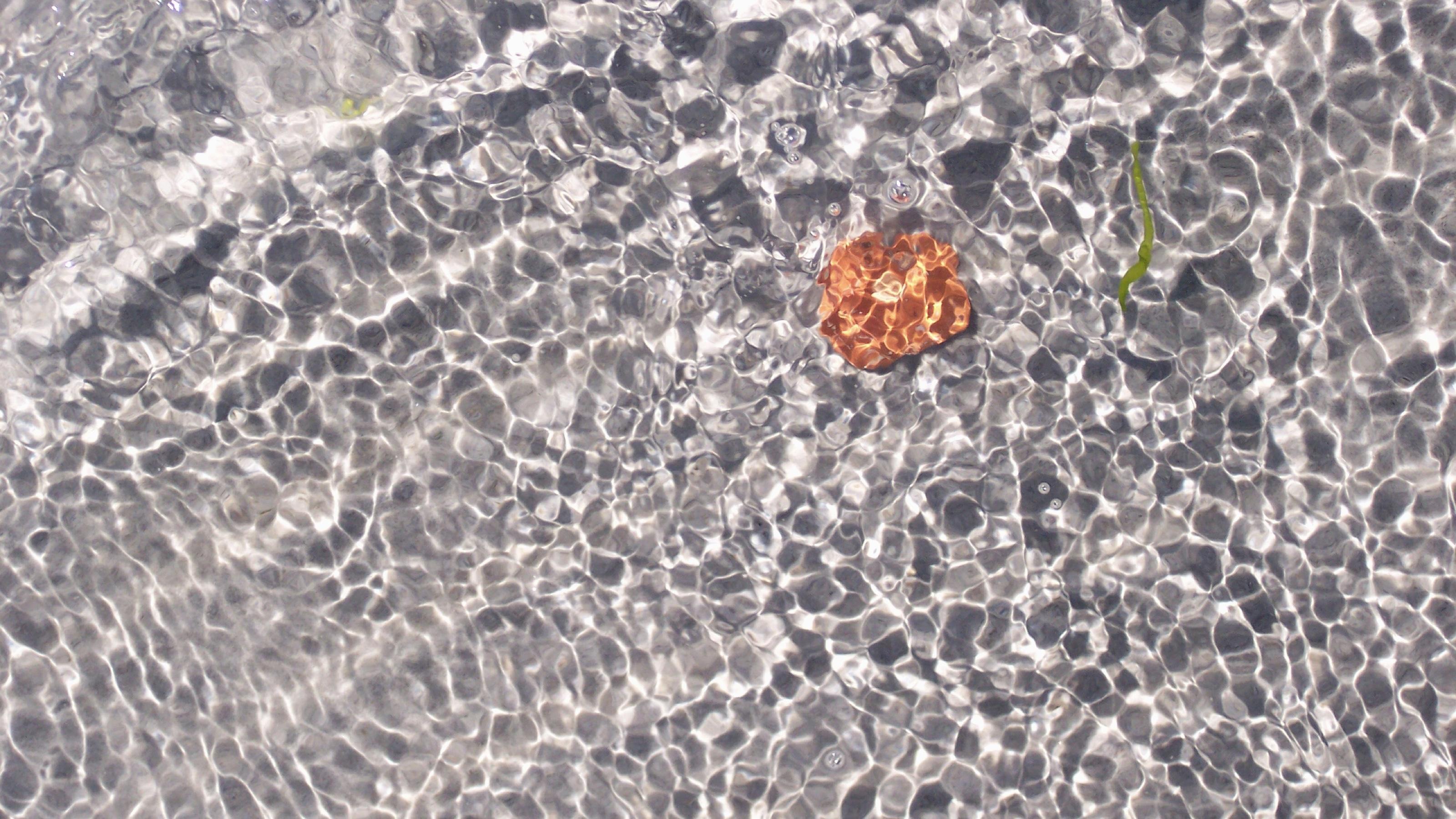 Water's Edge, Havnsø, Denmark