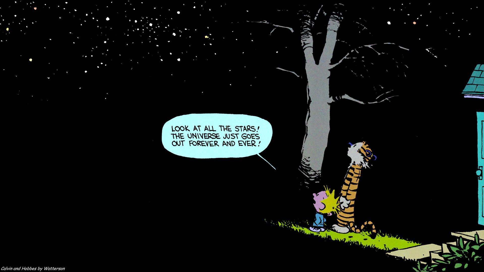 Calvin and Hobbes - Forever and Ever