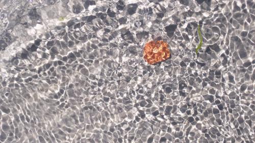 Water's Edge, Havnsø, Denmark