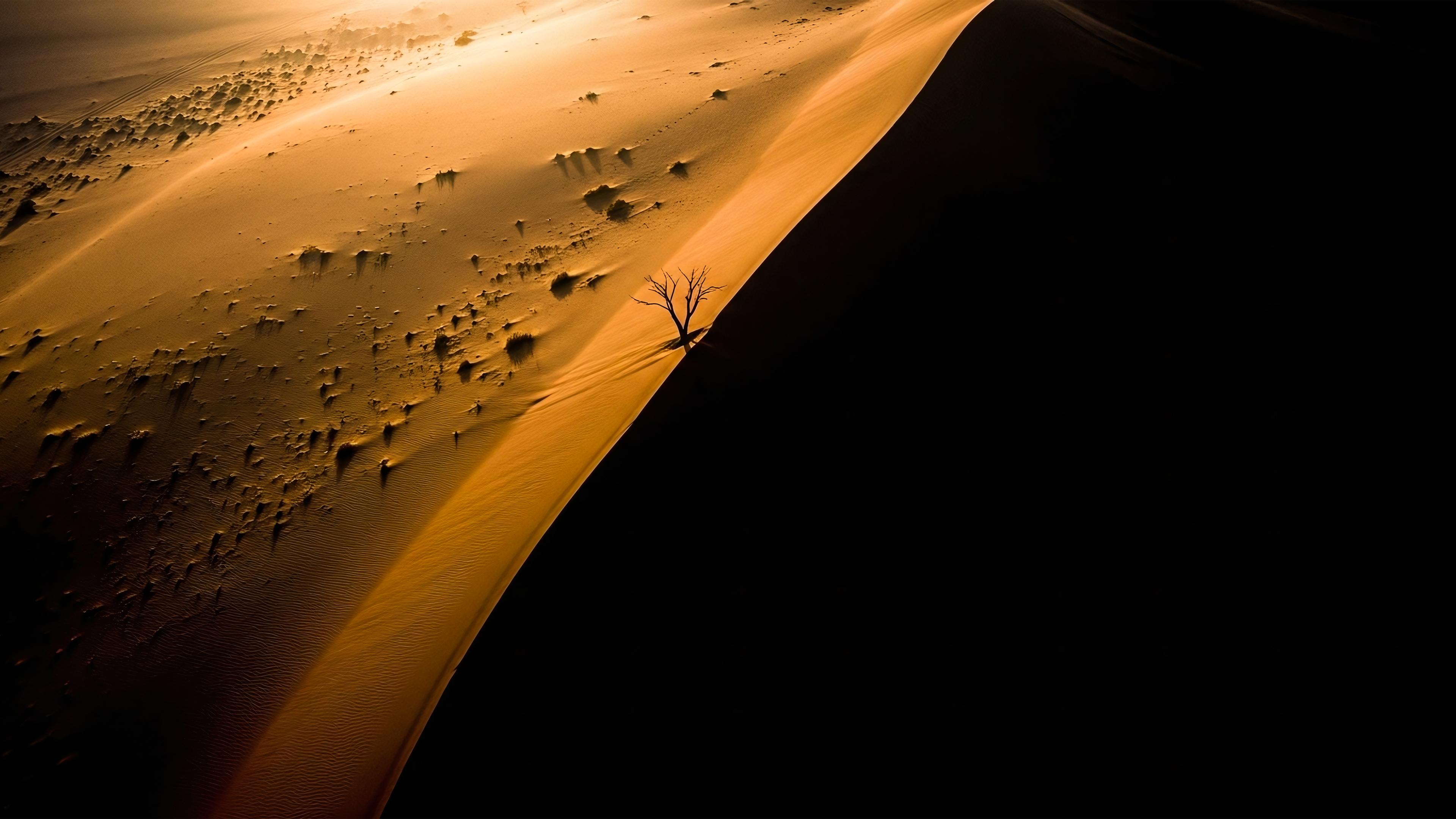 Between Light and Shadow