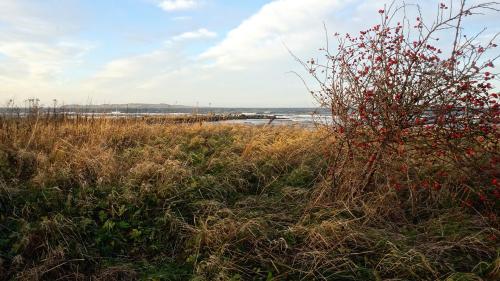 Havnsø Strand and Nekselø, Denmark