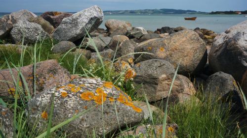 The Hip at Havnsø Strand with Vejrhøj in the background. Denmark