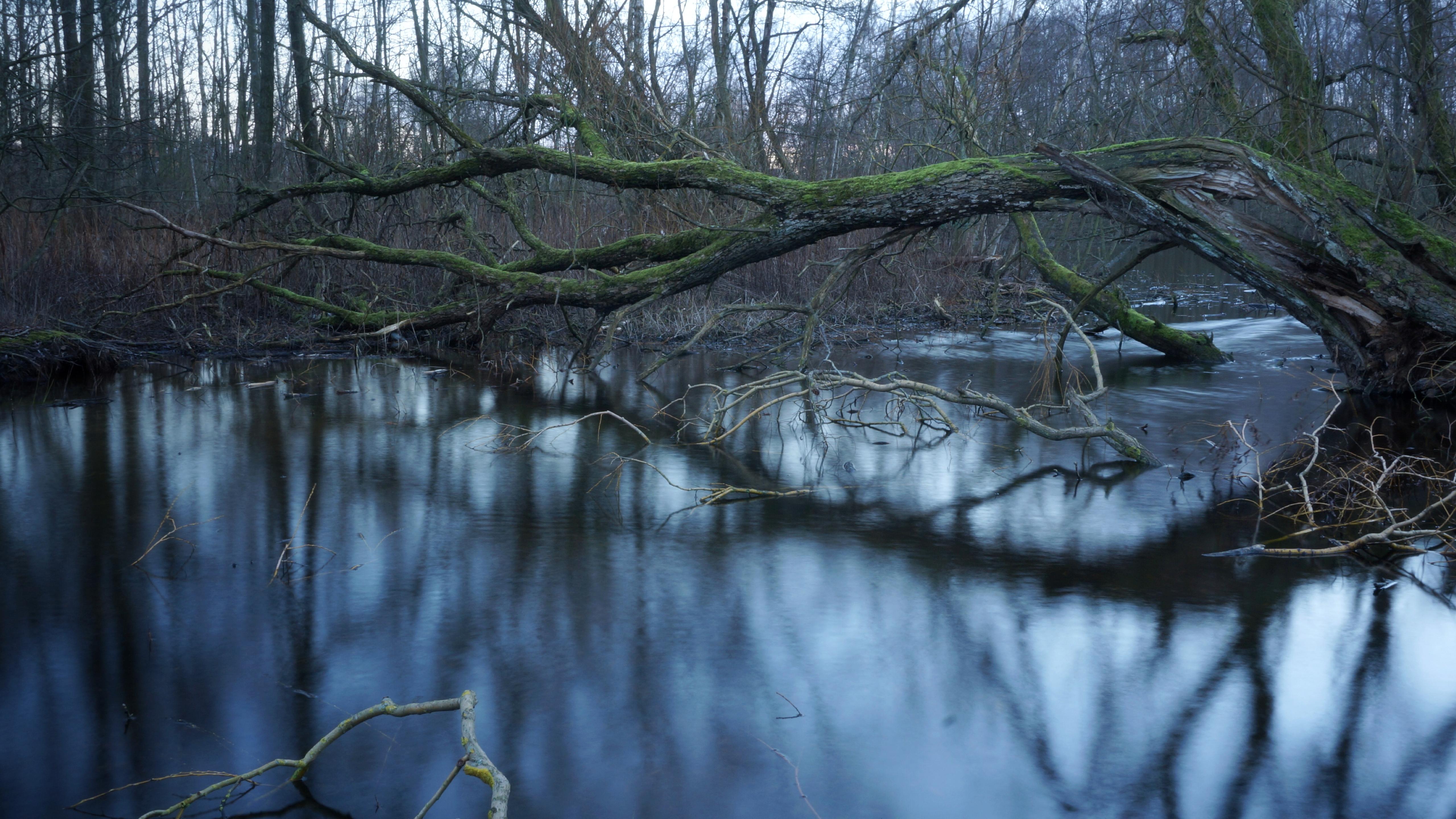 Nymosen, Vangede, Denmark
