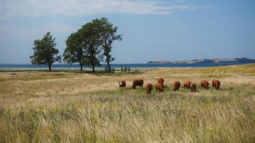 Sanddobberne and Nekselø, Odsherred, Denmark