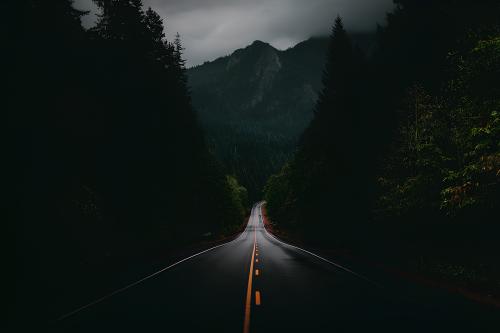 Road bend in a dark forest