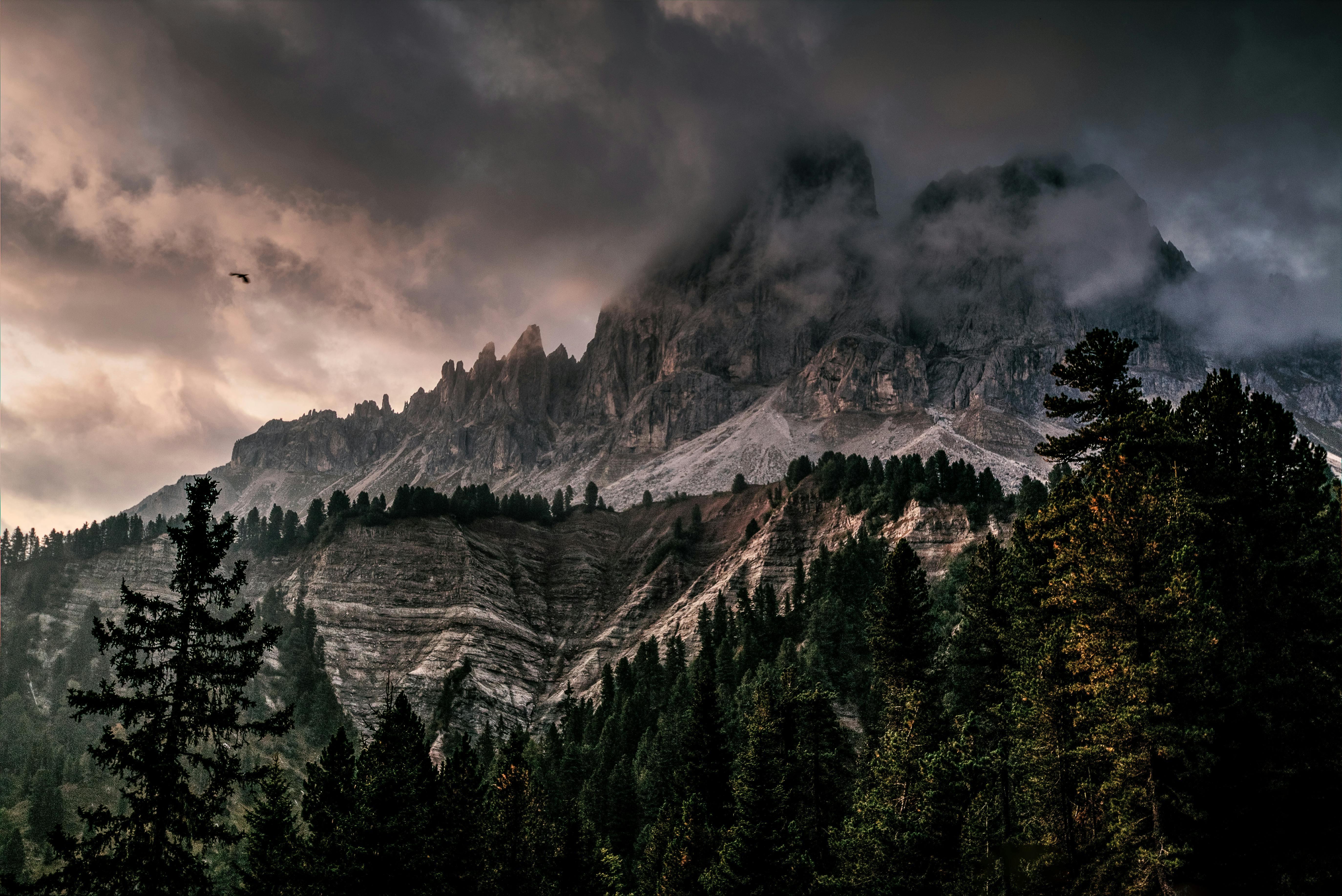 Dramatic Dolomites, Italy — Stormy Peaks &amp; Pine Forest