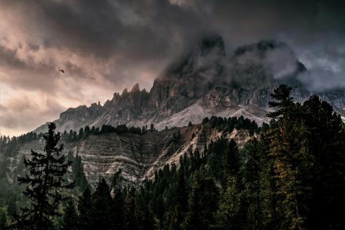 Dramatic Dolomites, Italy — Stormy Peaks &amp; Pine Forest