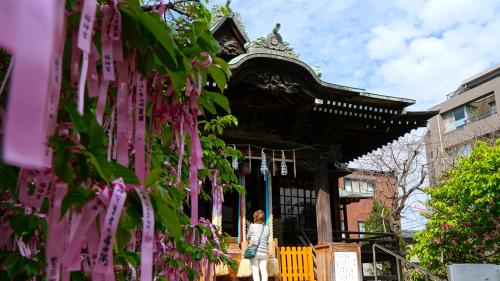Sakura Shrine @ Tokyo