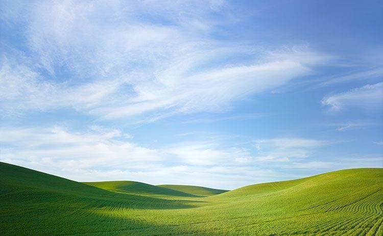 Old window wallpaper