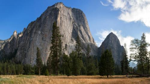 "Yosemite's Cathedral Rocks towering over a golden meadow