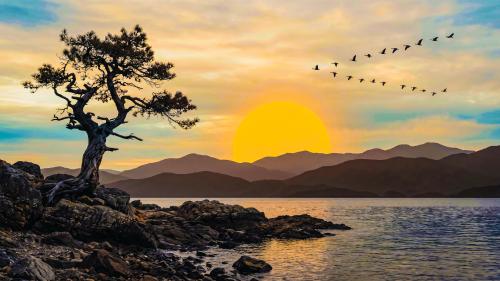 Drift Into Sunset Mode