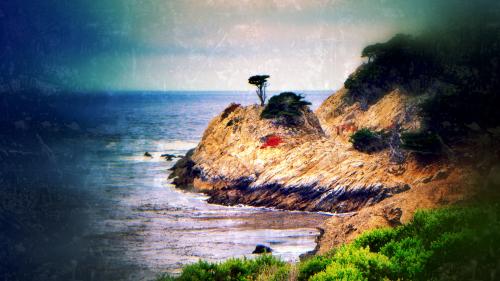 Old Postcard From The USA, Point Lobos