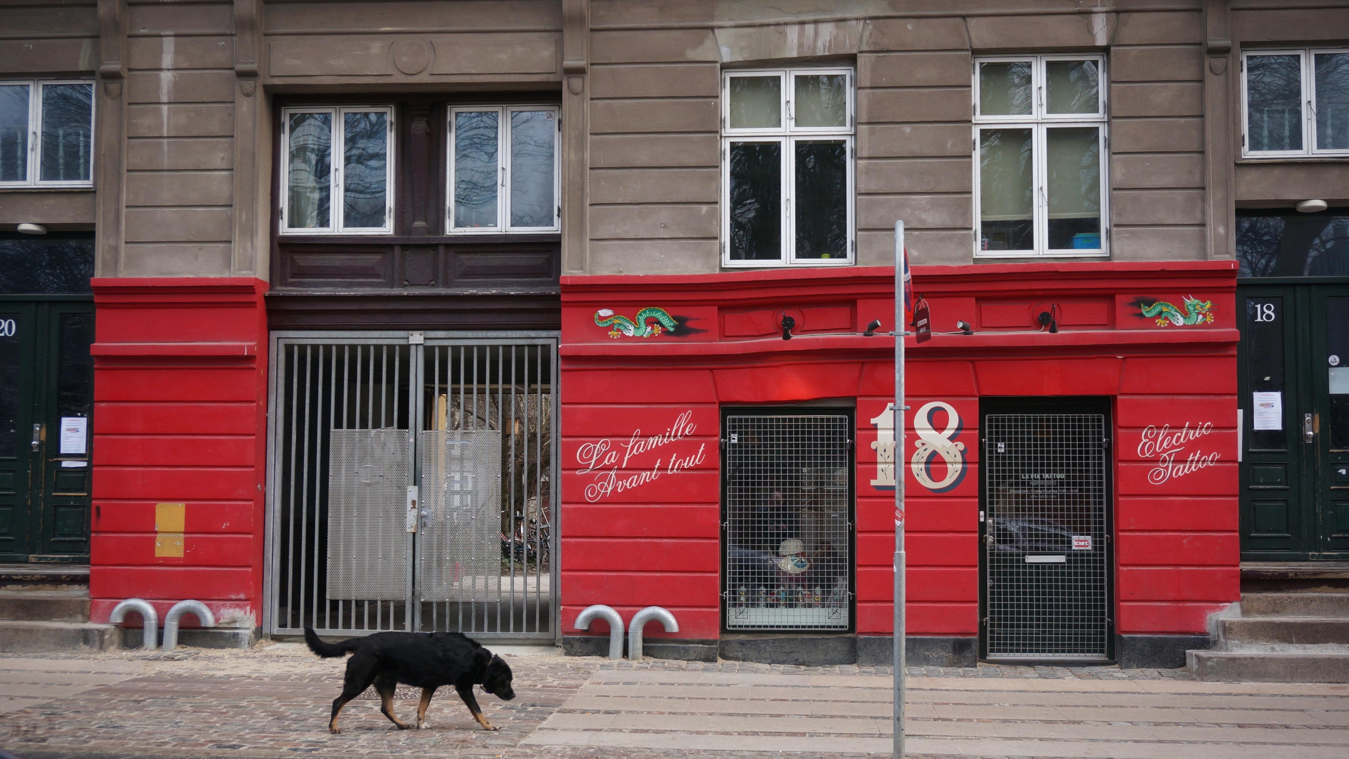 Guldbergsgade - a street in Copenhagen