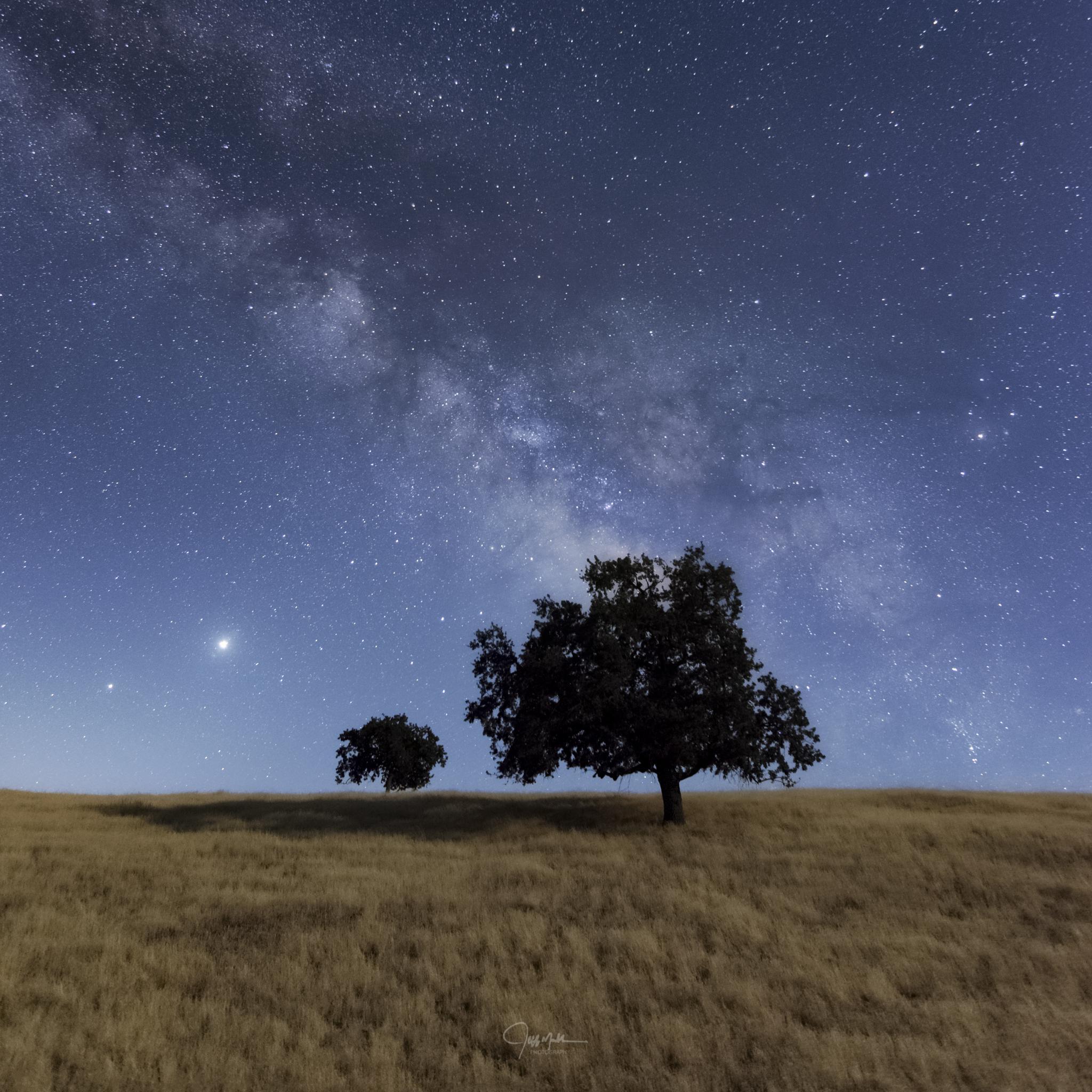 Milky Way Over California