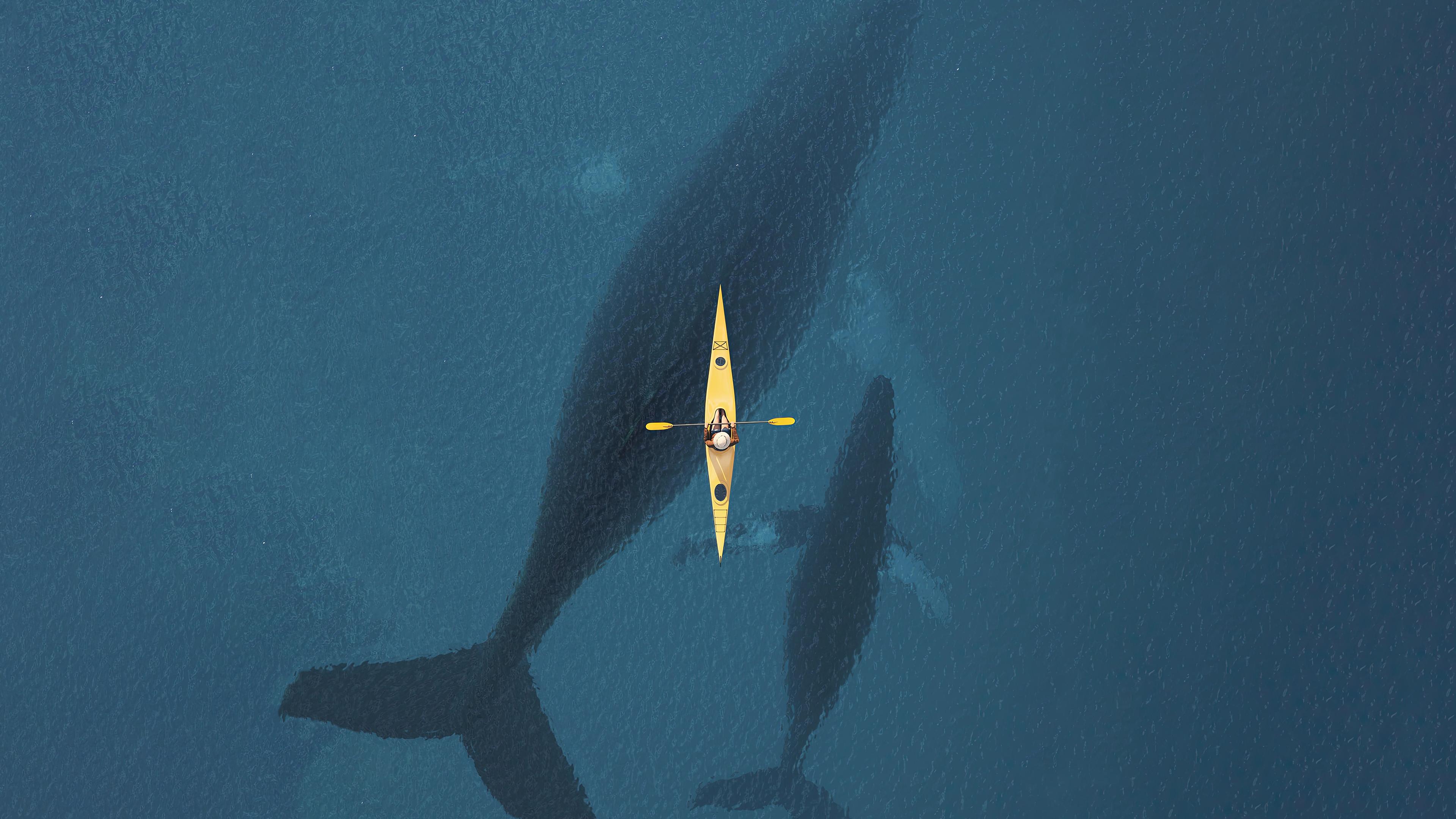 Wallpaper image