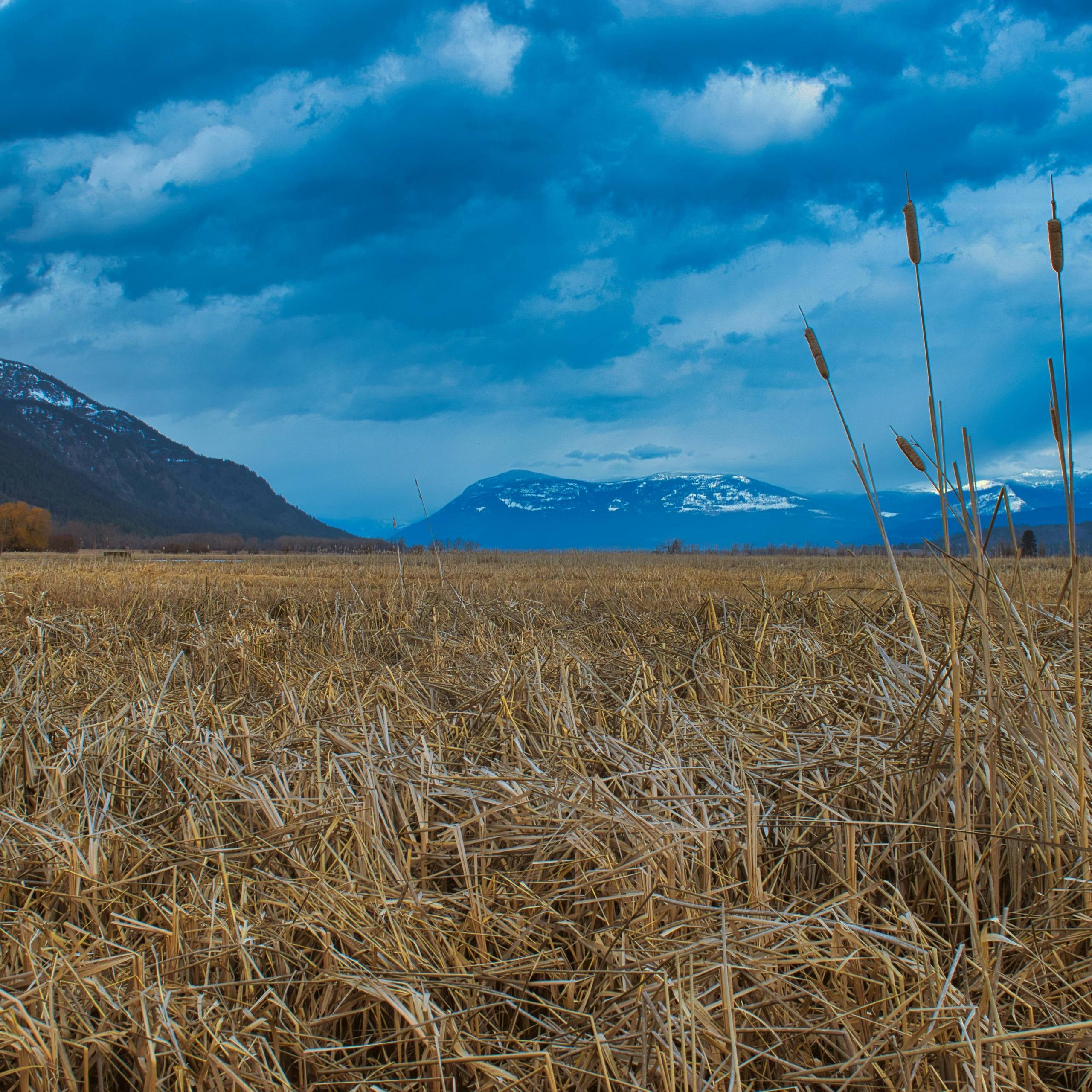 Farmland carved out by glacier