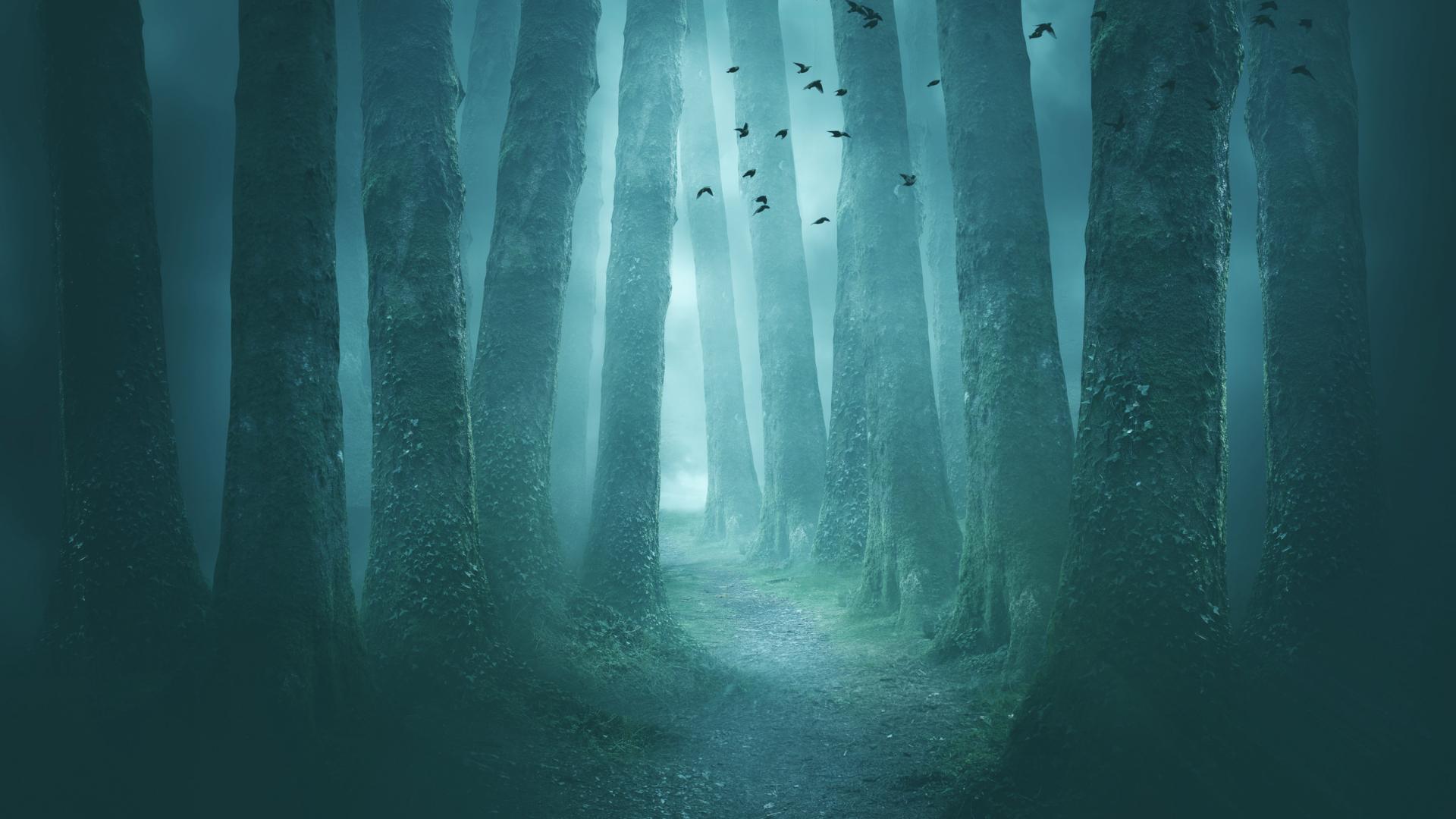 Wallpaper image