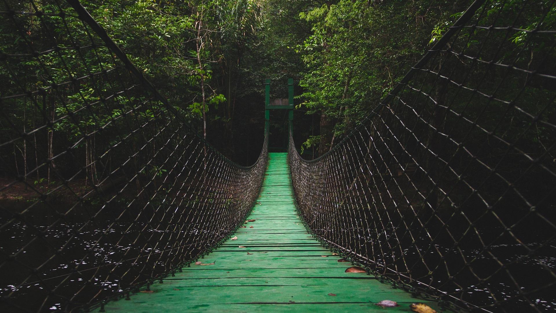 Wallpaper image