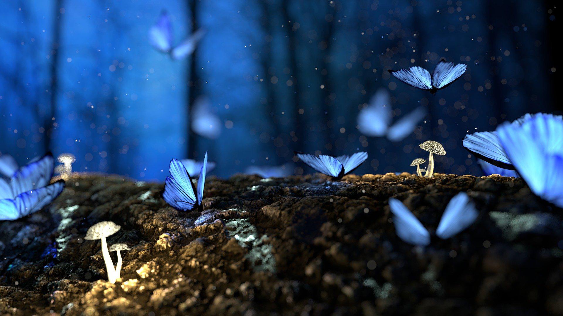 Wallpaper image