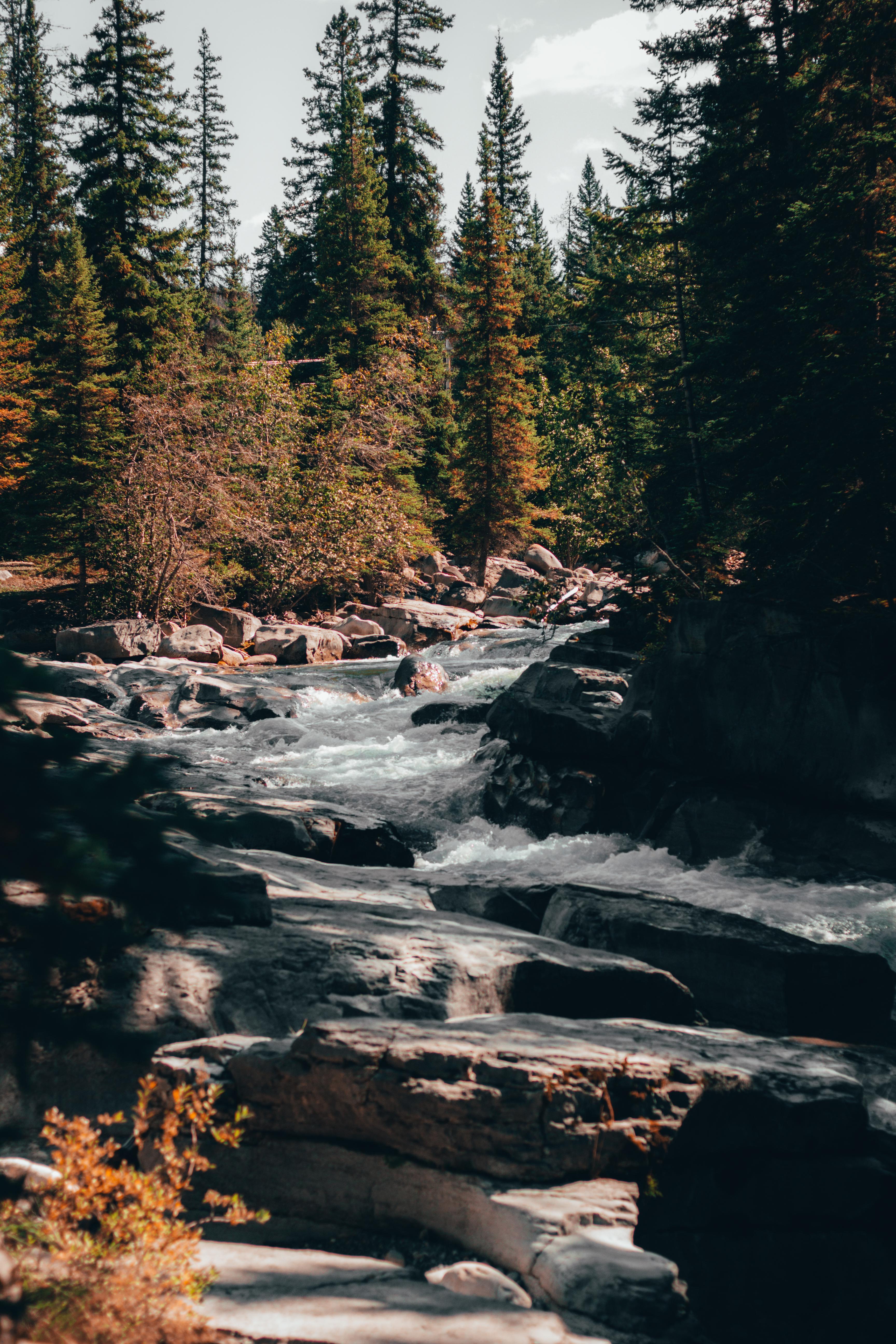 Wallpaper image