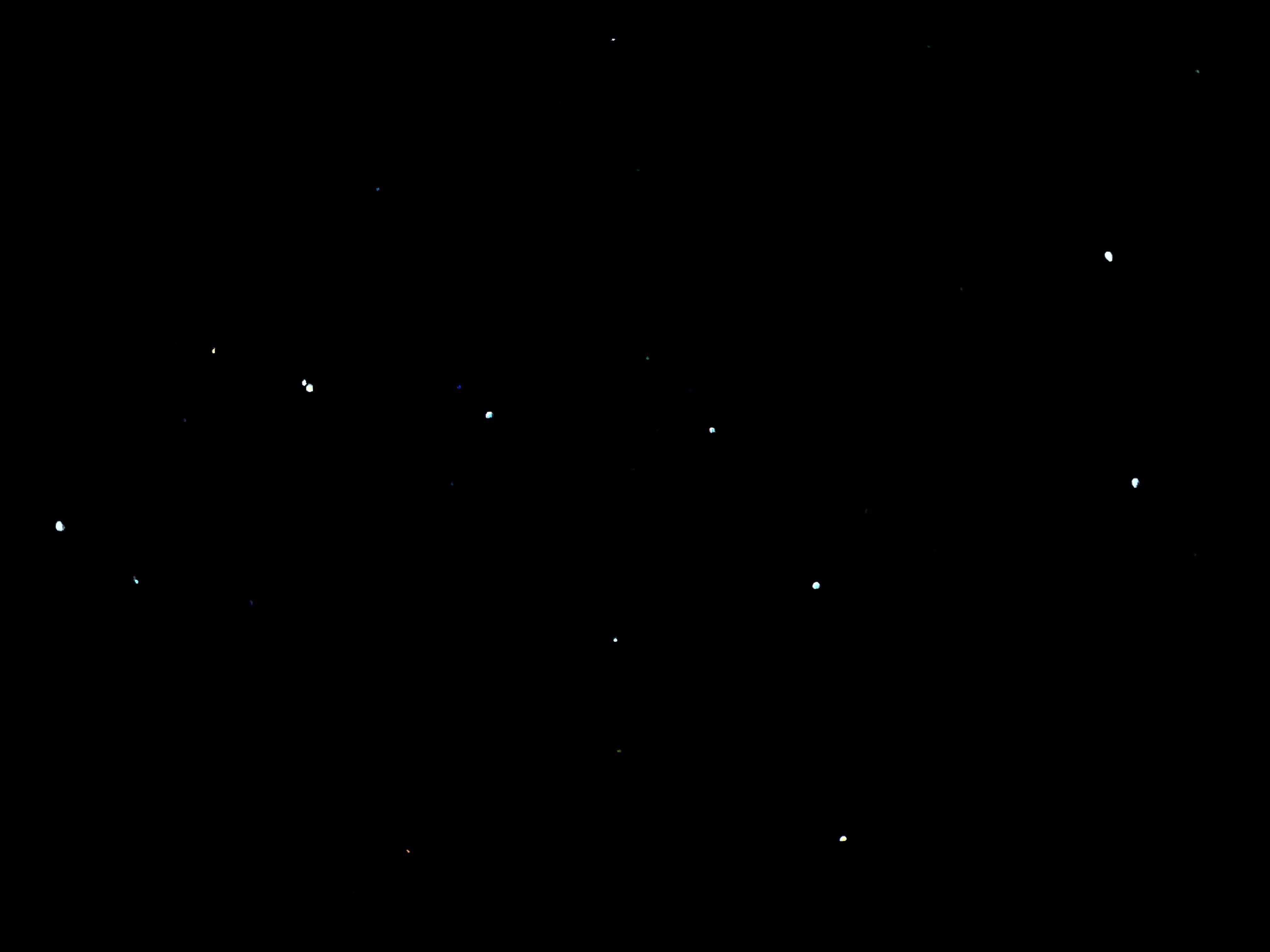 Wallpaper image