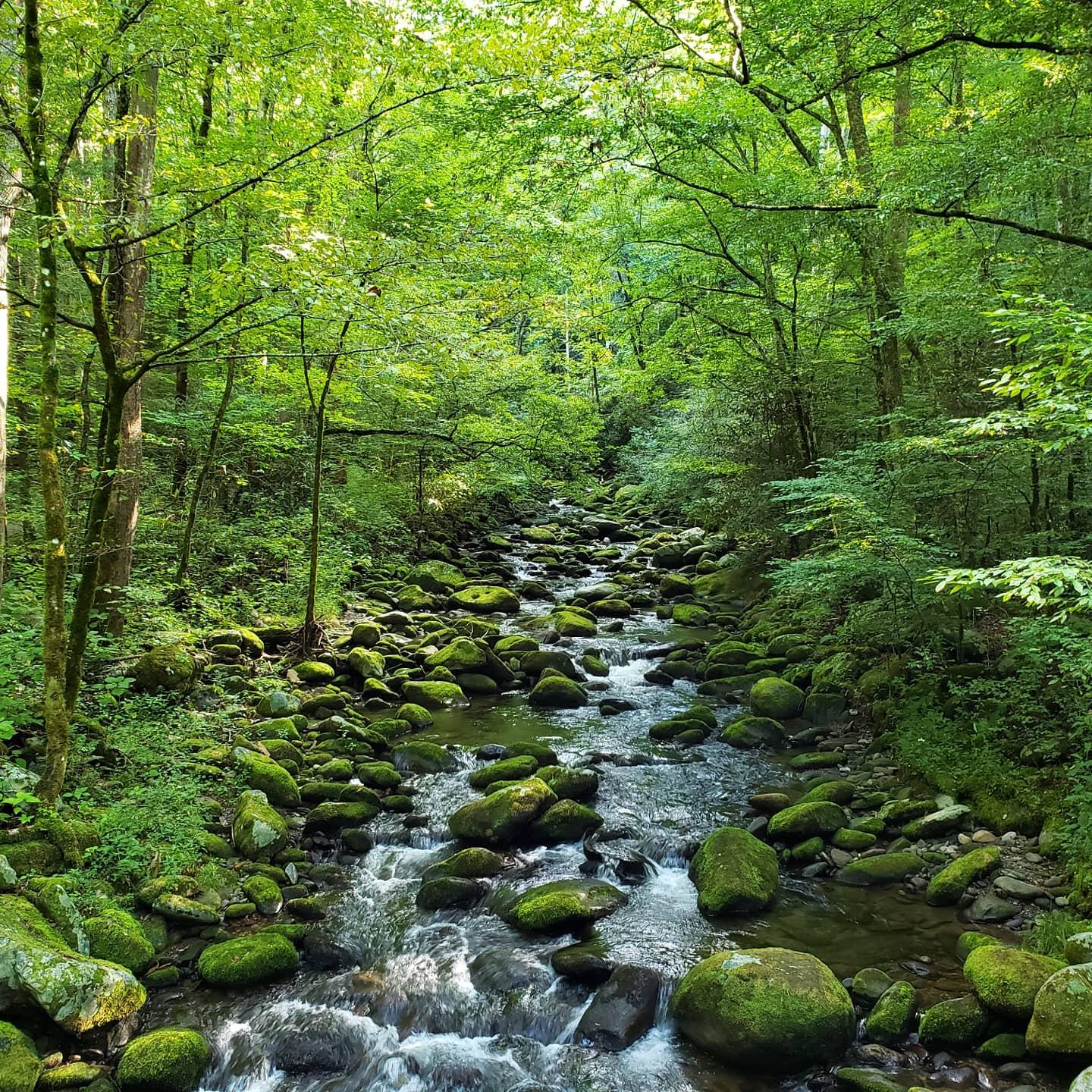 Great Smoky Mountains, Tennessee