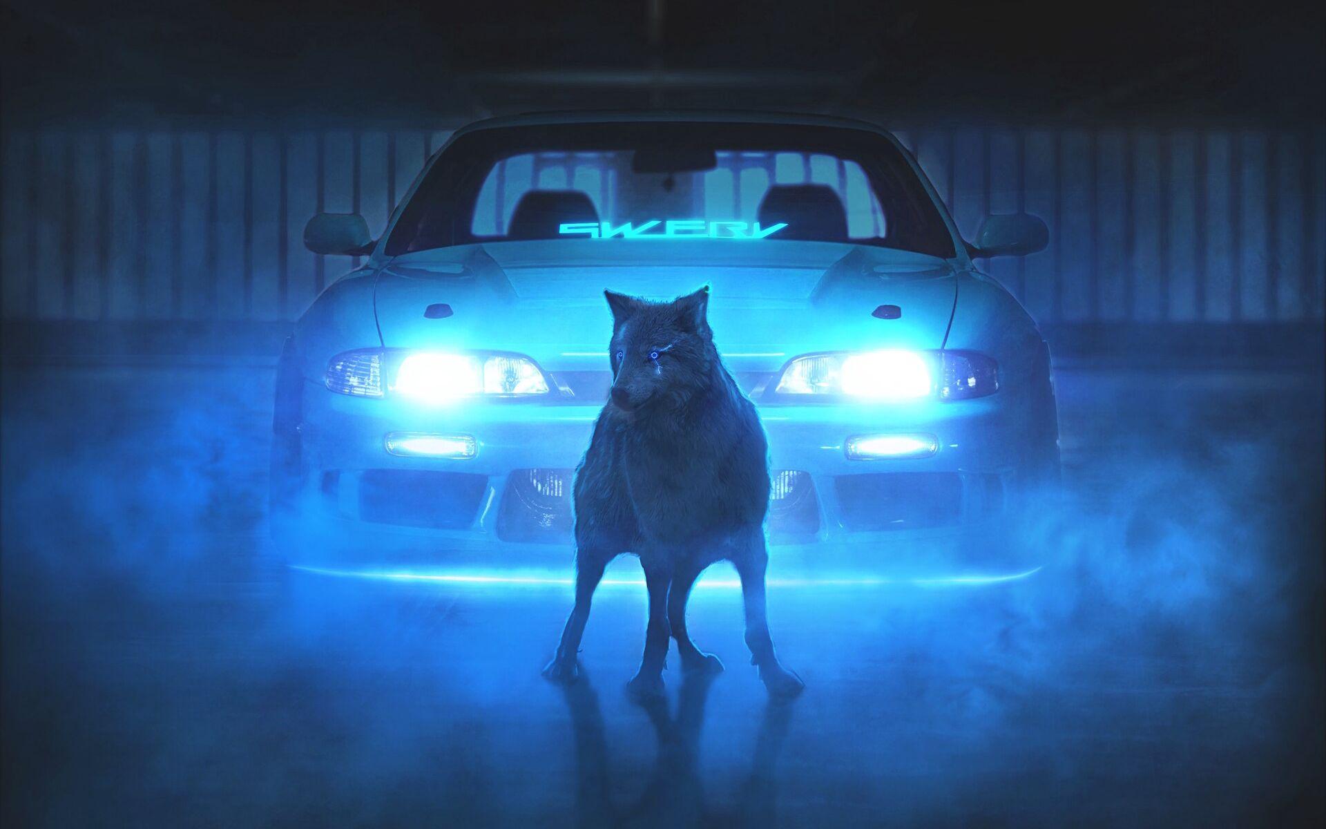 Wallpaper image