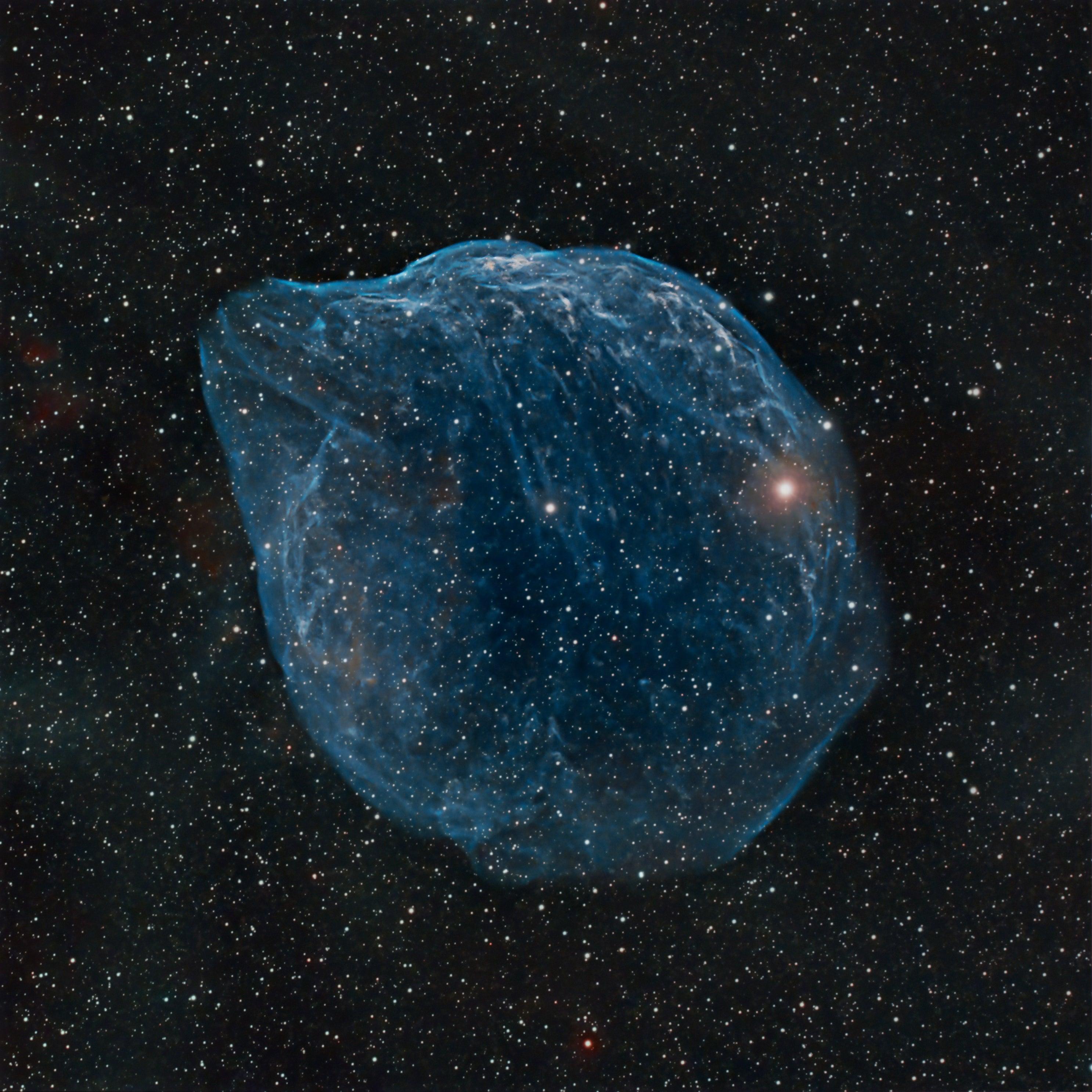The Dolphin Head Nebula captured by u/frustratedphoton in his backyard in AZ