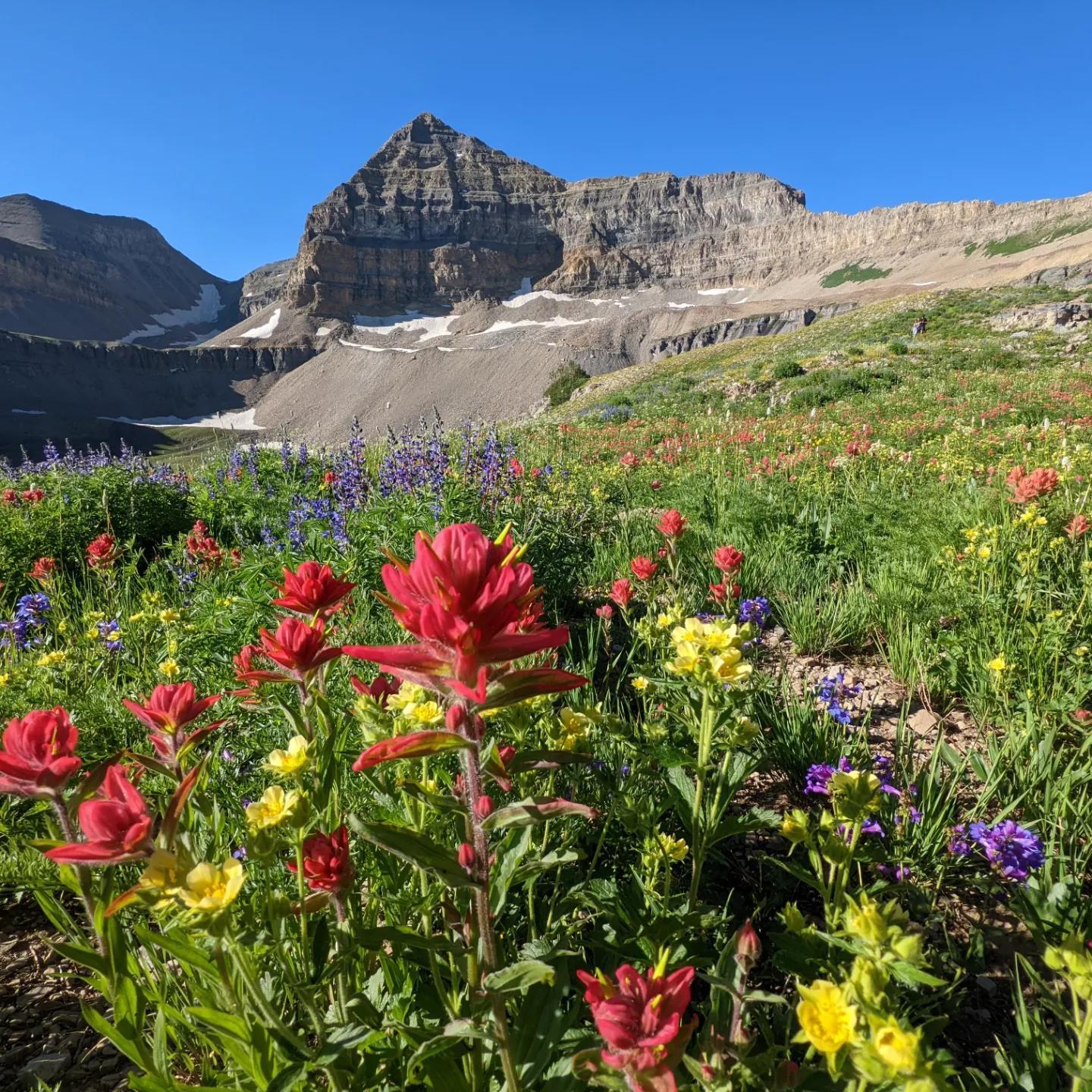 Today at Mount Timpanogos  OC