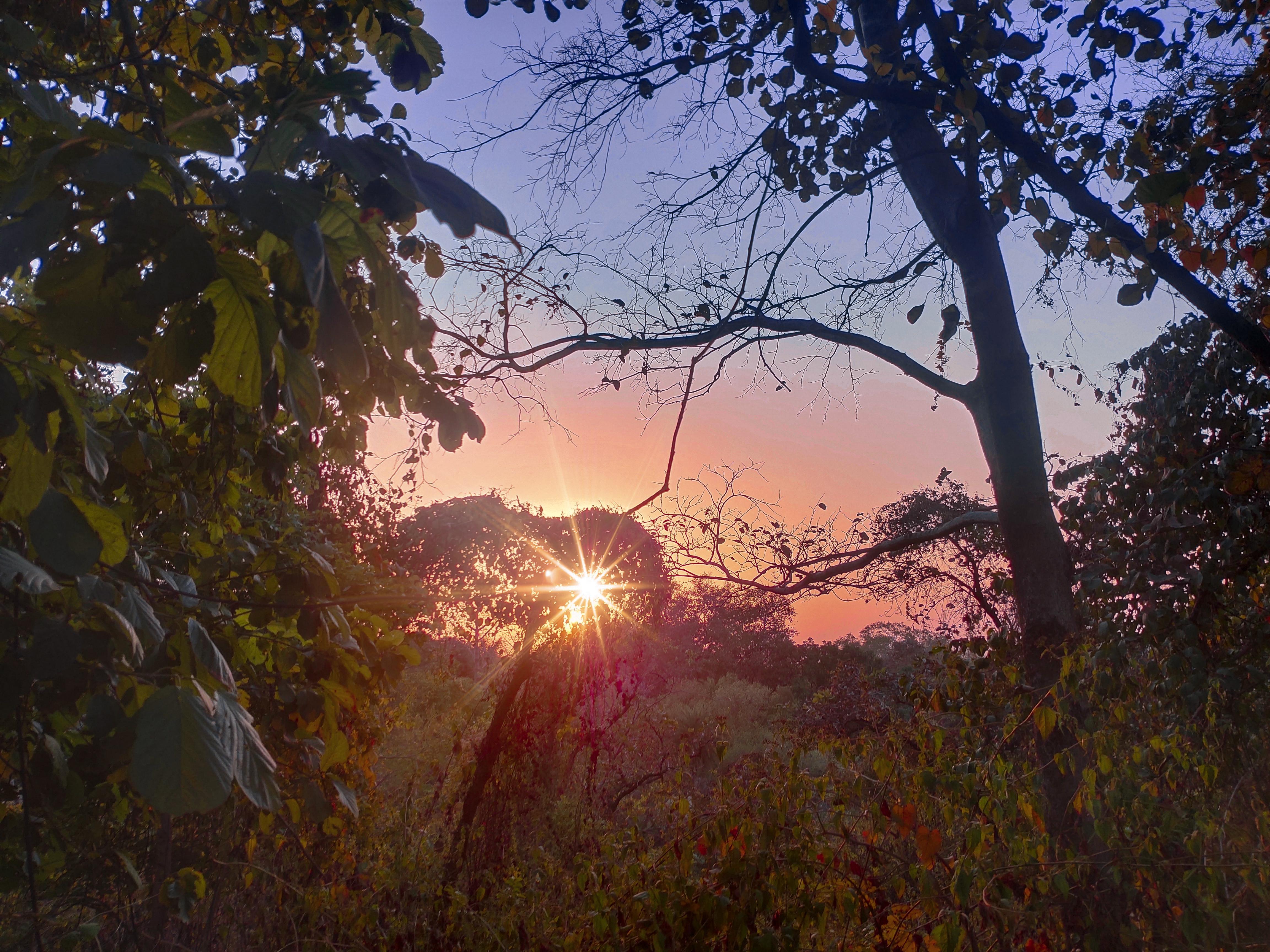 Wallpaper image