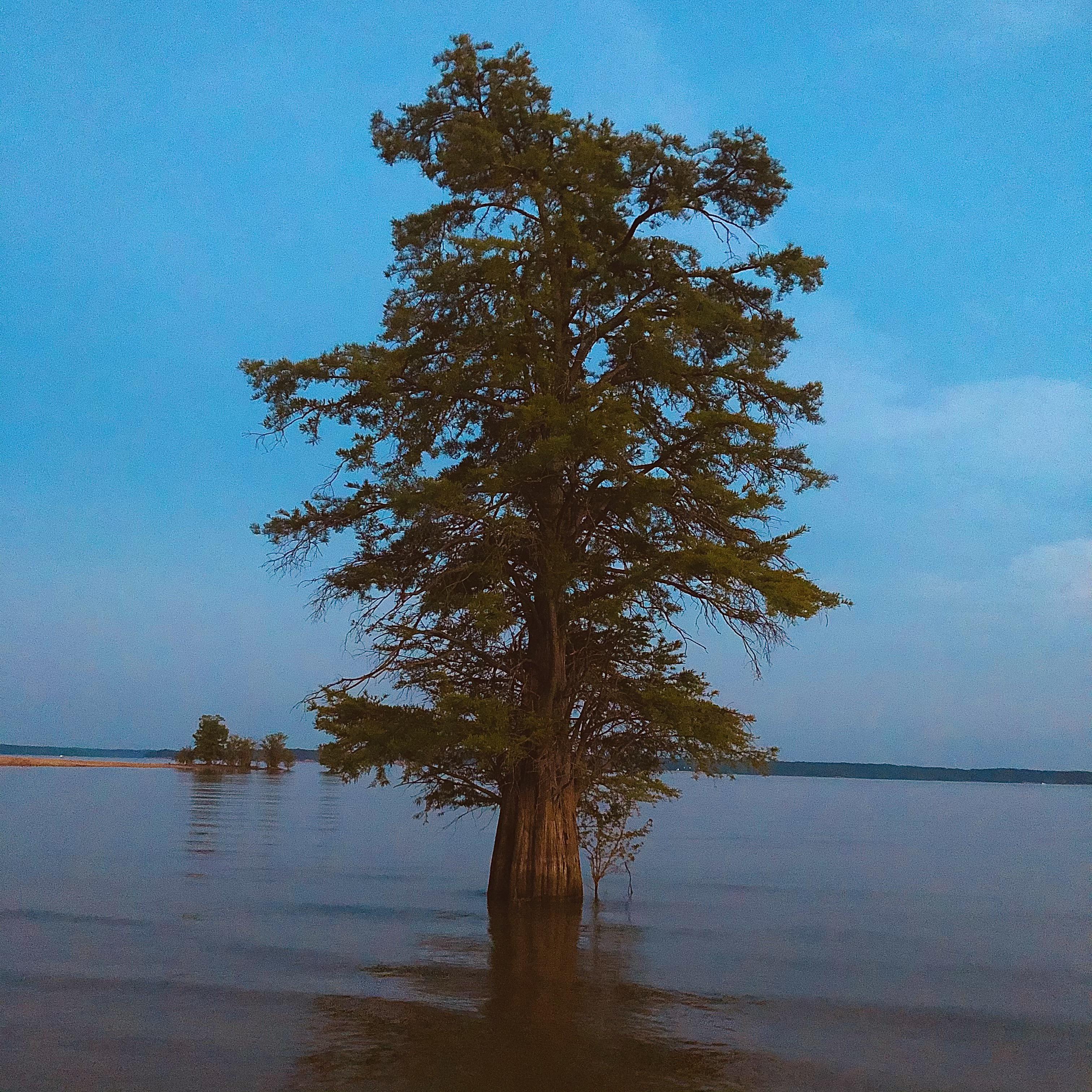 Sardis Lake, Mississippi