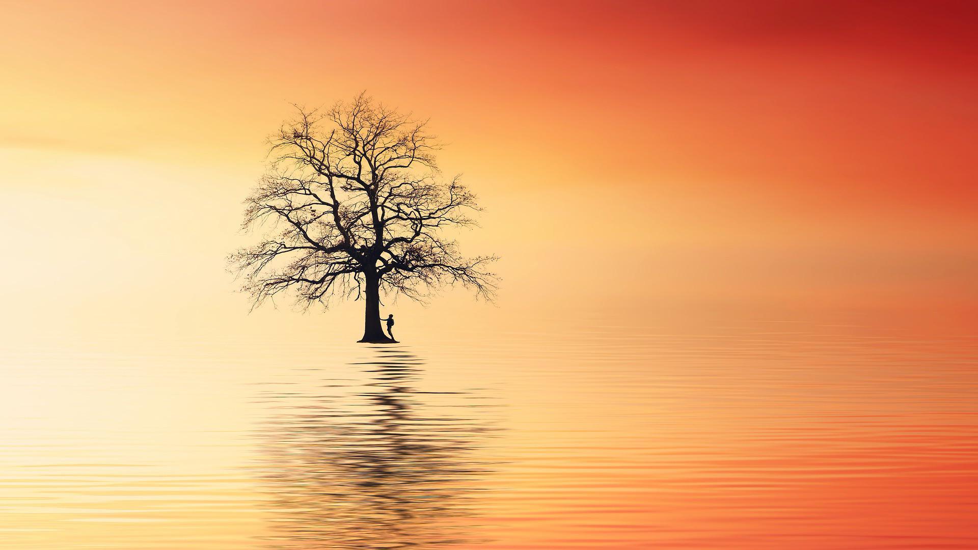 Wallpaper image